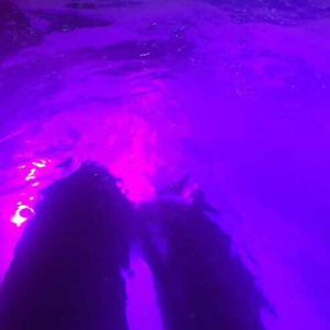 逼逼尖叫汉语版黄色
