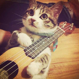 逼逼尖叫汉语版黄色
